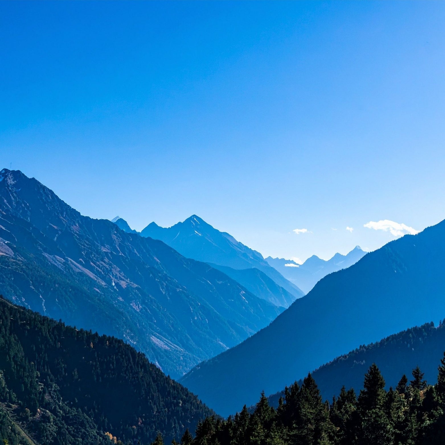 Jamaica Blue Mountain